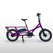 L20 2.0 E-cargo Longtail