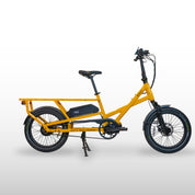 L20 2.0 E-cargo Longtail