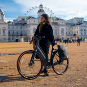 Pannier shopping bag